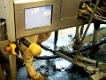 Ordenha robotizada