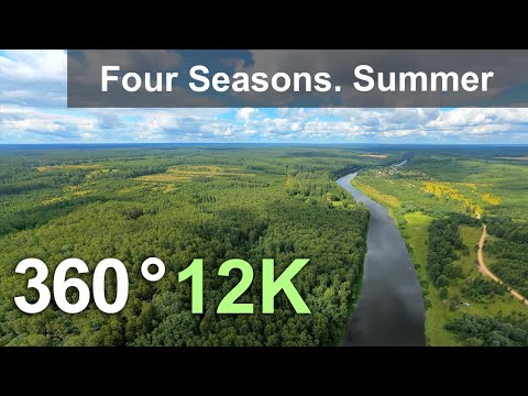 Four Seasons. Summer Forest. Relax Flight in 360 format, 12K resolution - YouTube