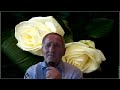 Click here to watch this video Les roses blanches