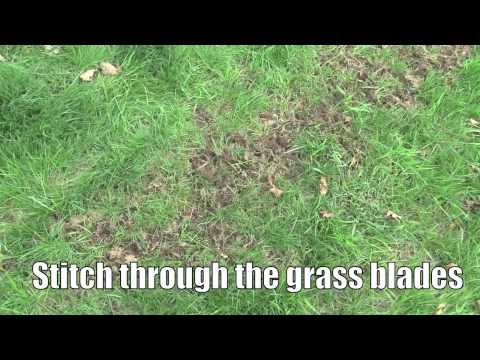 how to rebuild lawn