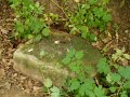 Cmentarz ?ydowski w Skorogoszczy