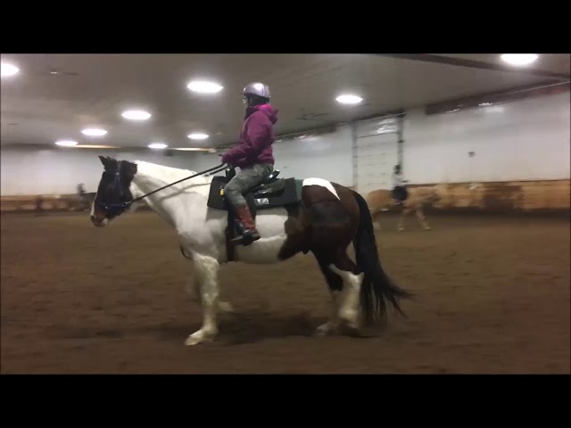 ACCEPTING NEW STUDENTS NOW: Mar/Apr Weekly Horse Riding Lessons in Classes & Lessons in Strathcona County