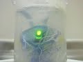 4Kidz Inc. - Test Tube Aliens - Hatching Demo