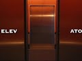 Elevator - Lily's Diet