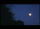 Bande annonce Retour en Normandie