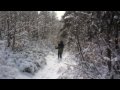 Dry Creek Hike
