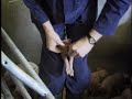 Watch 'Гамбургер без прикрас'