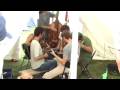 Clifftop 2008 jam