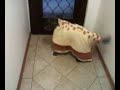 my dog runo :P