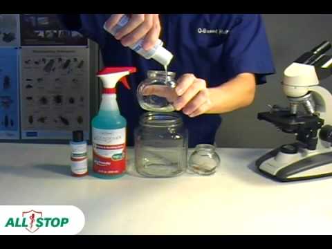 how to cure pubic lice