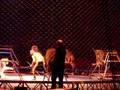videos de Cool tigers doing tricks at a circus