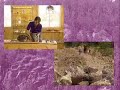 Amethyst Commercials