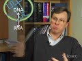 Gene Regulation Gene Regulation