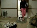 HPIM0339.AVI