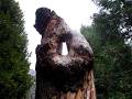 videos de Never mind(Piano composition) played to YOSEMITE photosヨセミテ２