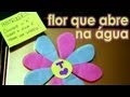 Cartão da flor de origami que abre na água (cartão para o Dia das Mães)