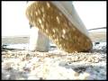 videos de Who Calender: Day 5| The Creatures Of Christmas (Teaser)