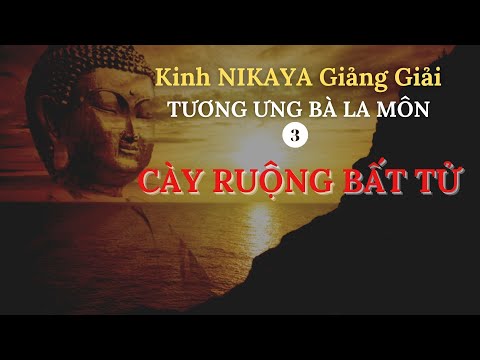 Kinh NIKAYA Giảng Giải - Tương Ưng Bà La Môn 3 - Cày Ruộng Bất Tử