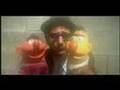 videos de THE BLUES MUPPETS!