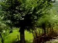 pahalgam