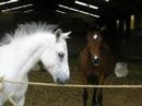 mon doudou & moii C l\ mon doudou & moii C l\