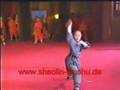 Snake Style Kung Fu