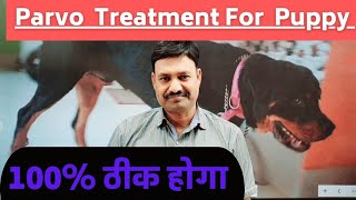 Parvo Treatment for Puppy / Parvo Dog Virus treatm