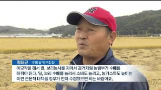 뉴스데스크