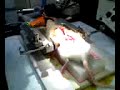 Lumbar L, video #1 Lumbar L, video #1