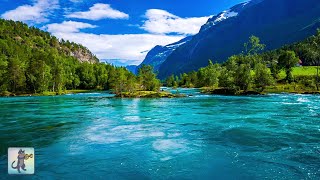 3 Hours of Amazing Nature Scenery & Relaxing Music for Stress Relief.