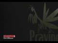 basshunterwacco-will-kick-your-ass.html