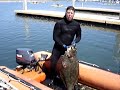 Come to California (and catch halibut)