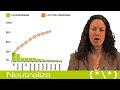 Intro to Pay-Per-Click Advertising