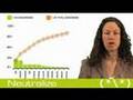 Intro to Pay-Per-Click Advertising