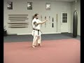 ryuei ryu style kata from the motobu ha shito ryu school