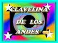 CLAVELINA DE LOS ANDES.avi