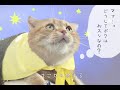 вам, #котоебы http://www.youtube.com/watch?v=BHM1oQEnVjs