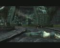 Lara in action