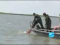 Les braconniers du caviar