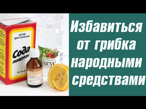 Как лечить грибок головы в домашних условиях Как лечить грибок головы в домашних условиях