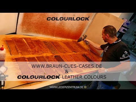 BILLARD QUEUES & ELEFANTENLEDER