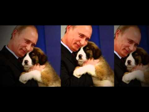 Владимир Путин Remix Video