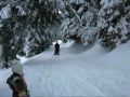 O et M traineau Morgin 05.01.2010.wmv