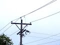 footage from tropical storm gustav in jamaica