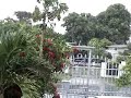 footage from tropical storm gustav in jamaica