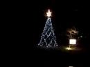 Theronn Dec #6