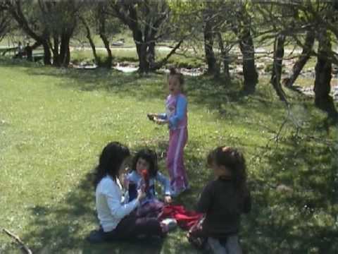 Immagine anteprima YouTube
