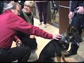 Click here to watch this video Mounds View K9 - First Public Appearance