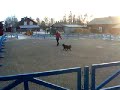 Freestyleuppvisning p� Jamtli (Kim)