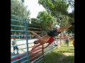 Первый сбор турникменов в  26.08.2011